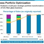 PPG - Business Portfolio Optimization