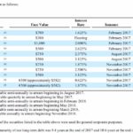 PM - Debt Issuances in 2017