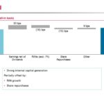 CM - Capital and Common Equity Tier 1 Ratio