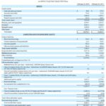 STZ - Balance Sheet as at February 28 2017 and 2018