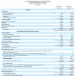 STZ - Balance Sheet as at November 30 2018 and February 28 2018