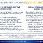 STZ - Pursuing New Growth Opportunity