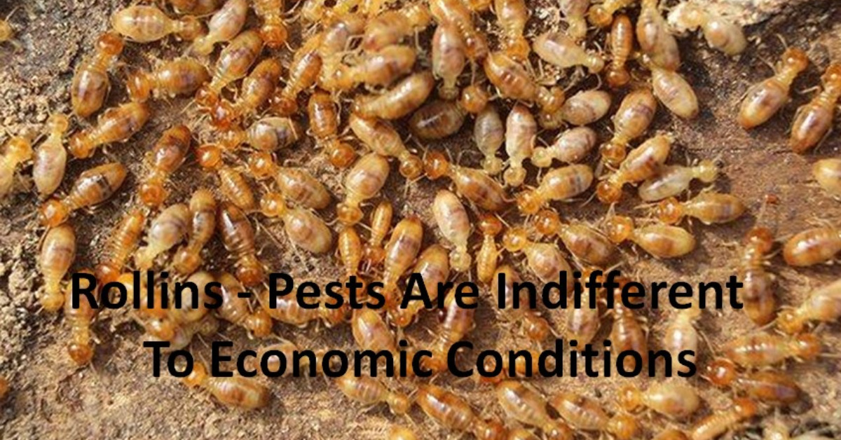 Rollins - Pests Are Indifferent To Economic Conditions