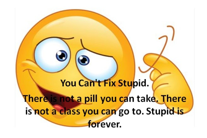 You Can't Fix Stupid